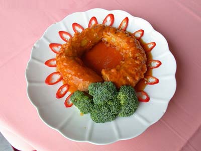 經(jīng)顱多普勒儀器